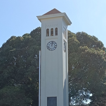 Waverley Town Clock main street