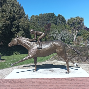 Kiwi - Waverley's racehorse legend